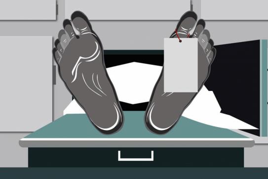 যুক্তরাষ্ট্রের ভার্জিনিয়া বিশ্ববিদ্যালয়ে বন্দুক হামলায় নিহত ৩