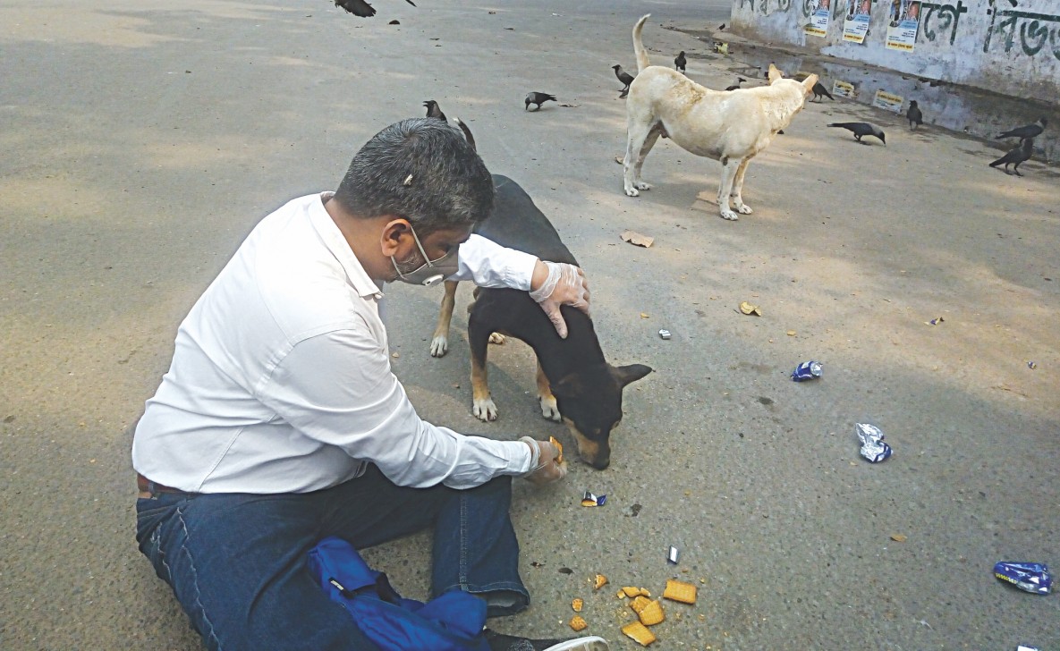 কুকুরের জন্য ভালোবাসা