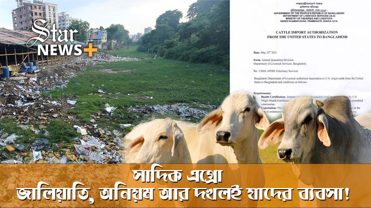 ব্রাহমা গরু আমদানির নেপথ্যে