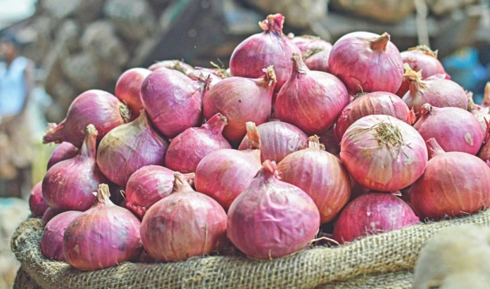 পেঁয়াজ রপ্তানির ওপর নিষেধাজ্ঞা বাড়াল ভারত