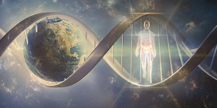 সিলিকন ভ্যালির ‘অমরত্বের’ খোঁজ