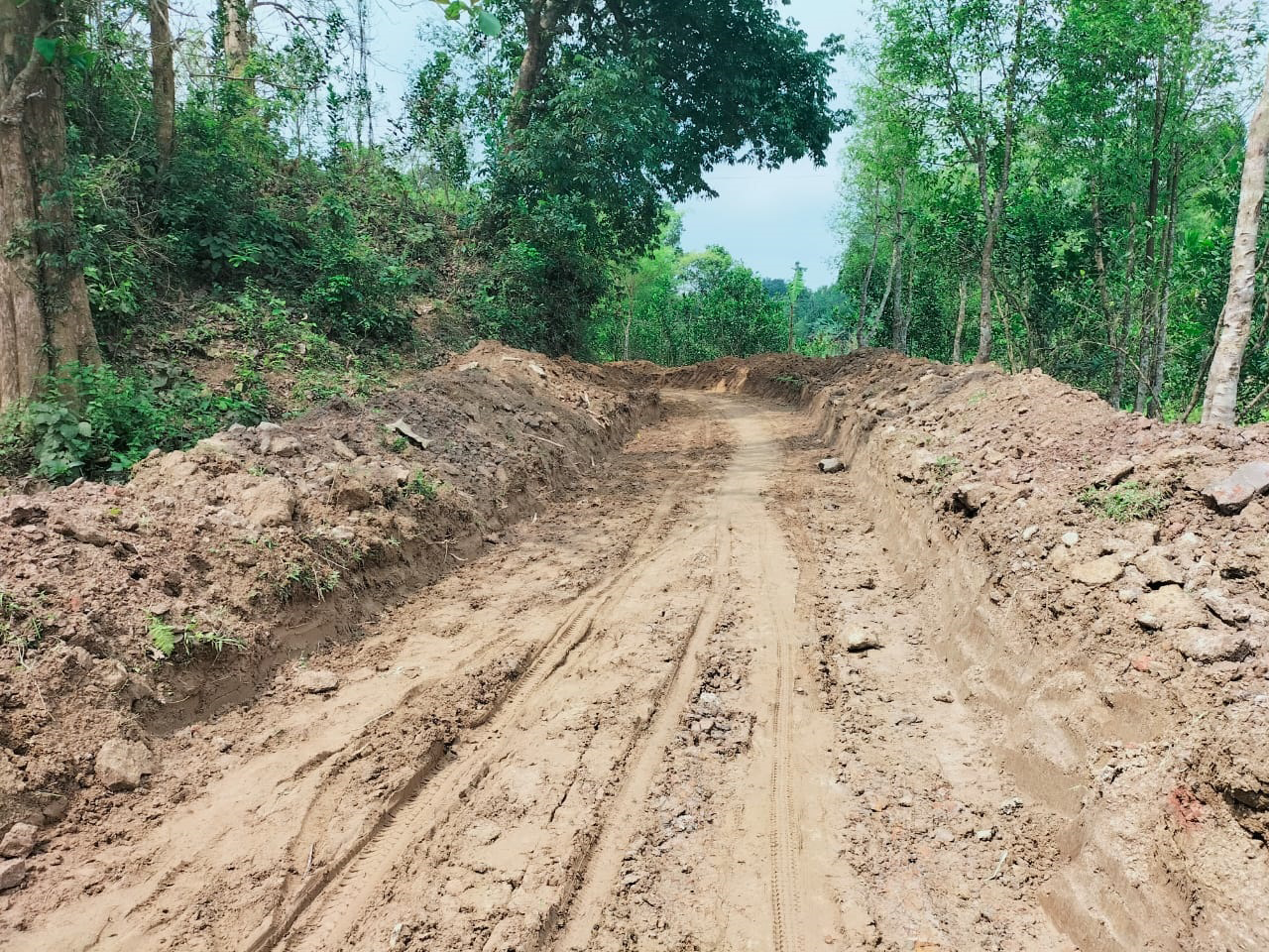 সংরক্ষিত বনে পাকা সড়ক নির্মাণ বন্ধের দাবিতে বেলার আইনি নোটিশ