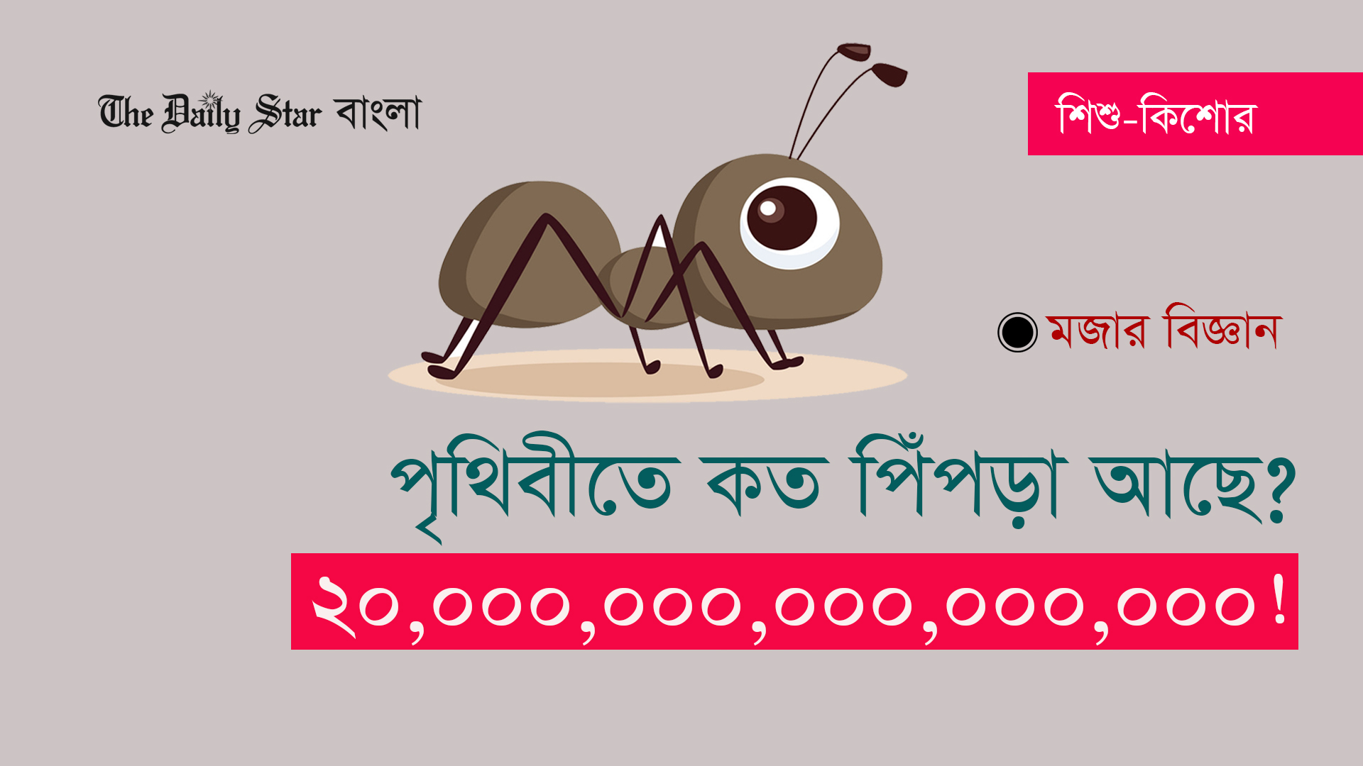 পৃথিবীতে কত পিঁপড়া আছে? ২০,০০০,০০০,০০০,০০০,০০০!