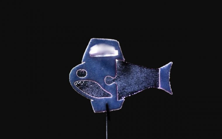 রোবোফিশ: কৃত্রিম হৃদপিণ্ডের পথে আরেক ধাপ অগ্রগতি