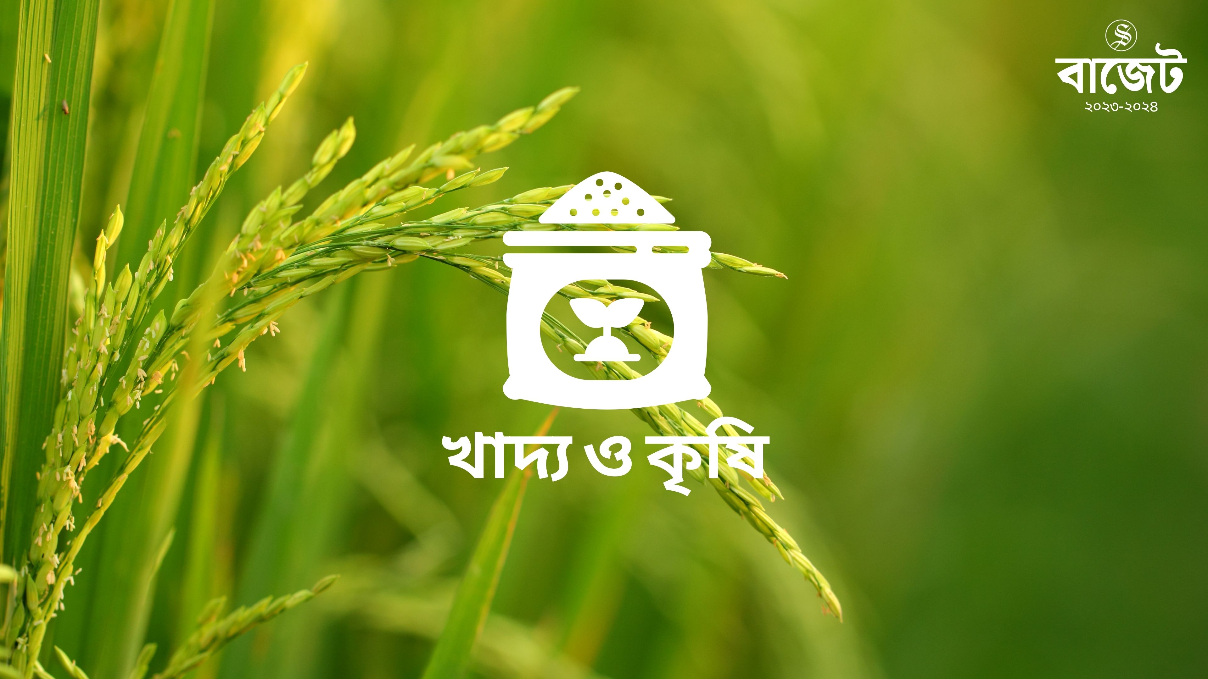 বাজেটে কৃষি খাতে বরাদ্দ কমে ৪.৬৪ শতাংশ