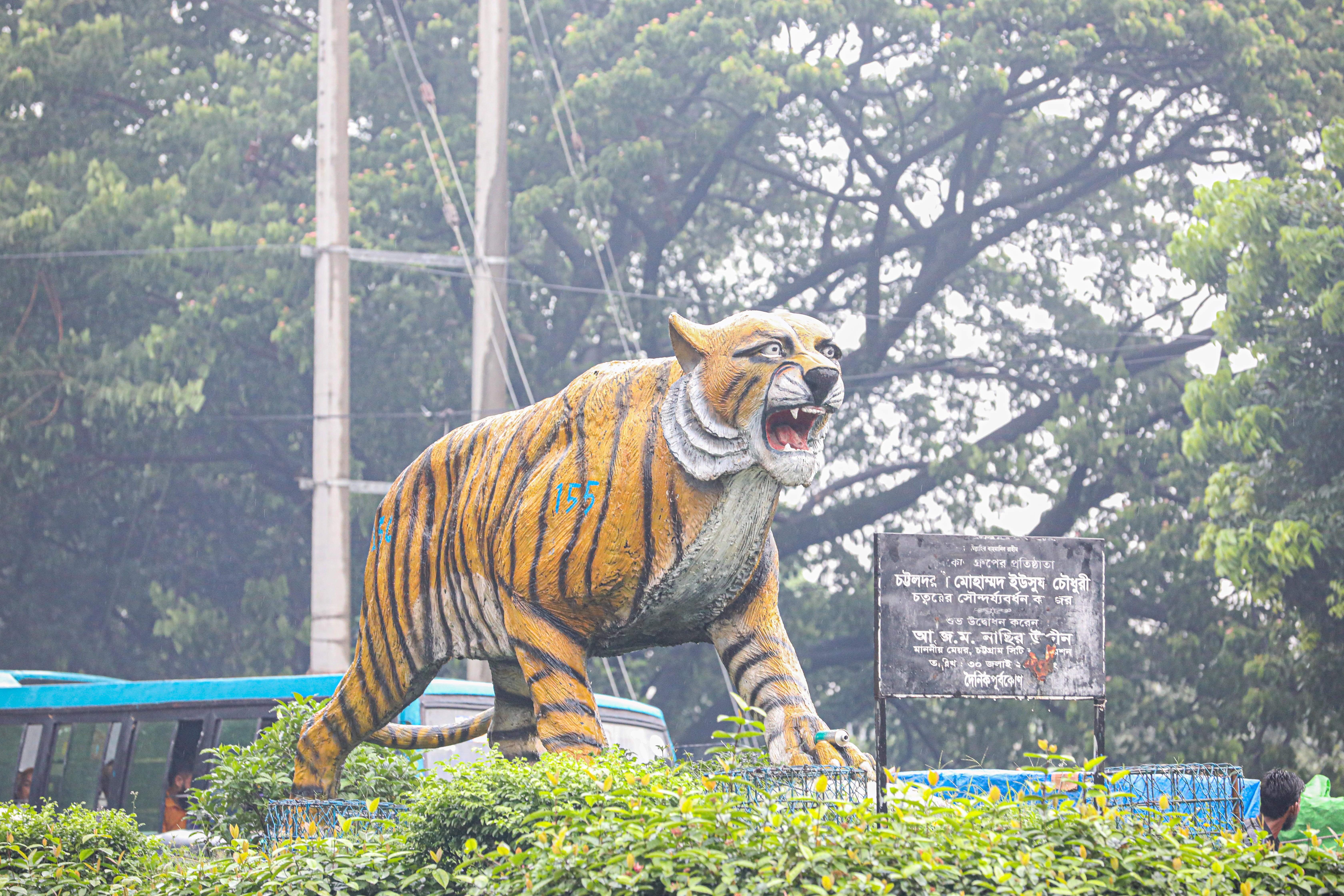 টাইগার পাস: বাঘেরা সত্যিই এখানে চলাচল করতো
