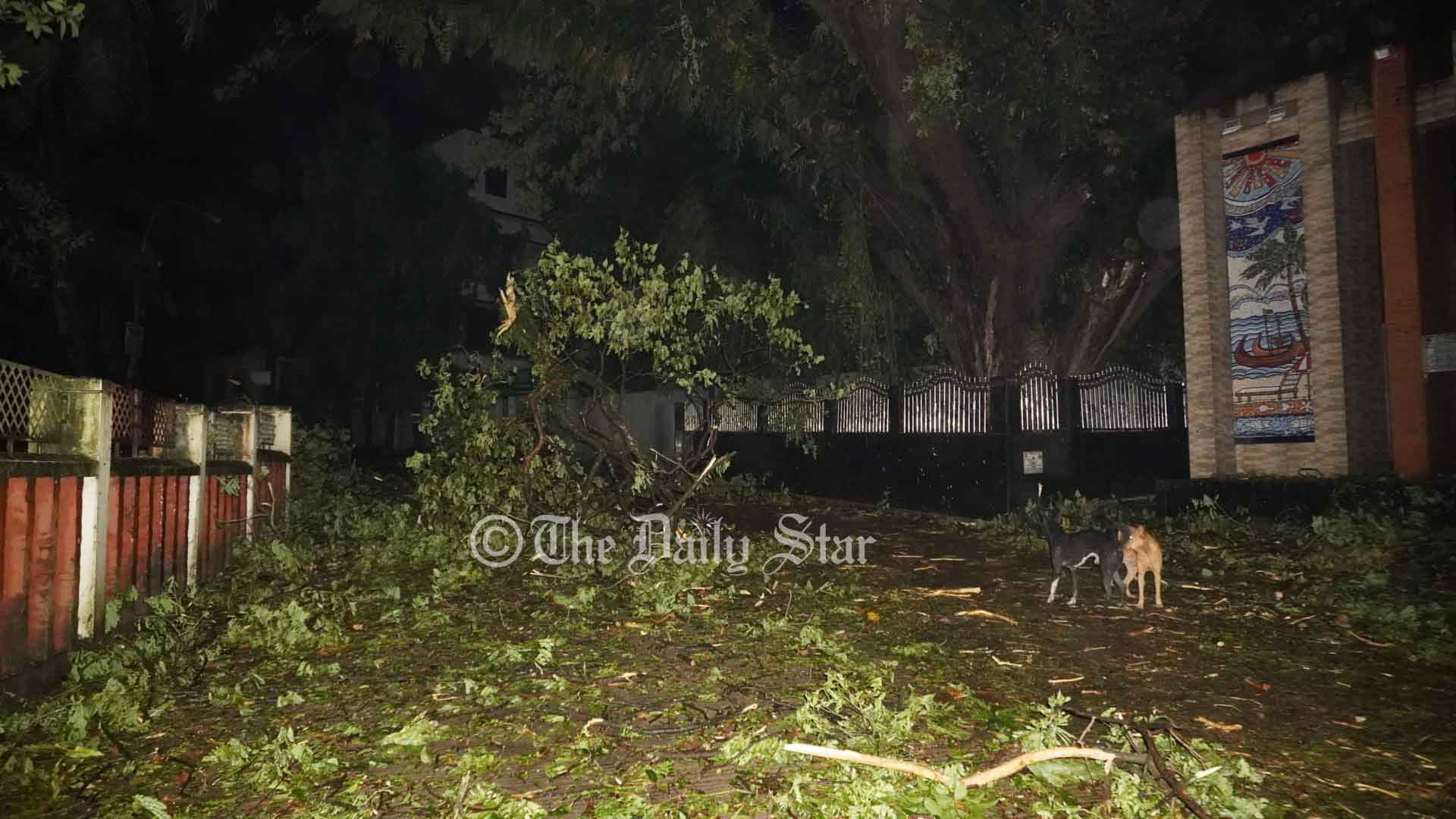 ঘূর্ণিঝড় হামুন: কক্সবাজারে ৩ জনের মৃত্যু, শতাধিক বাড়ি-ঘর ক্ষতিগ্রস্ত