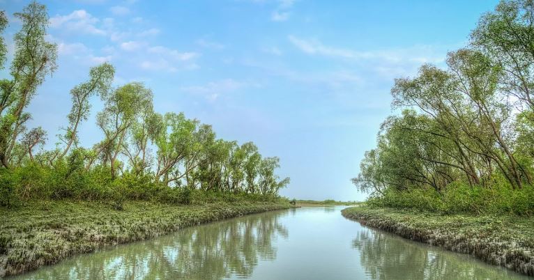 নিঝুম দ্বীপ: কীভাবে যাবেন, কোথায় থাকবেন, খরচ কত