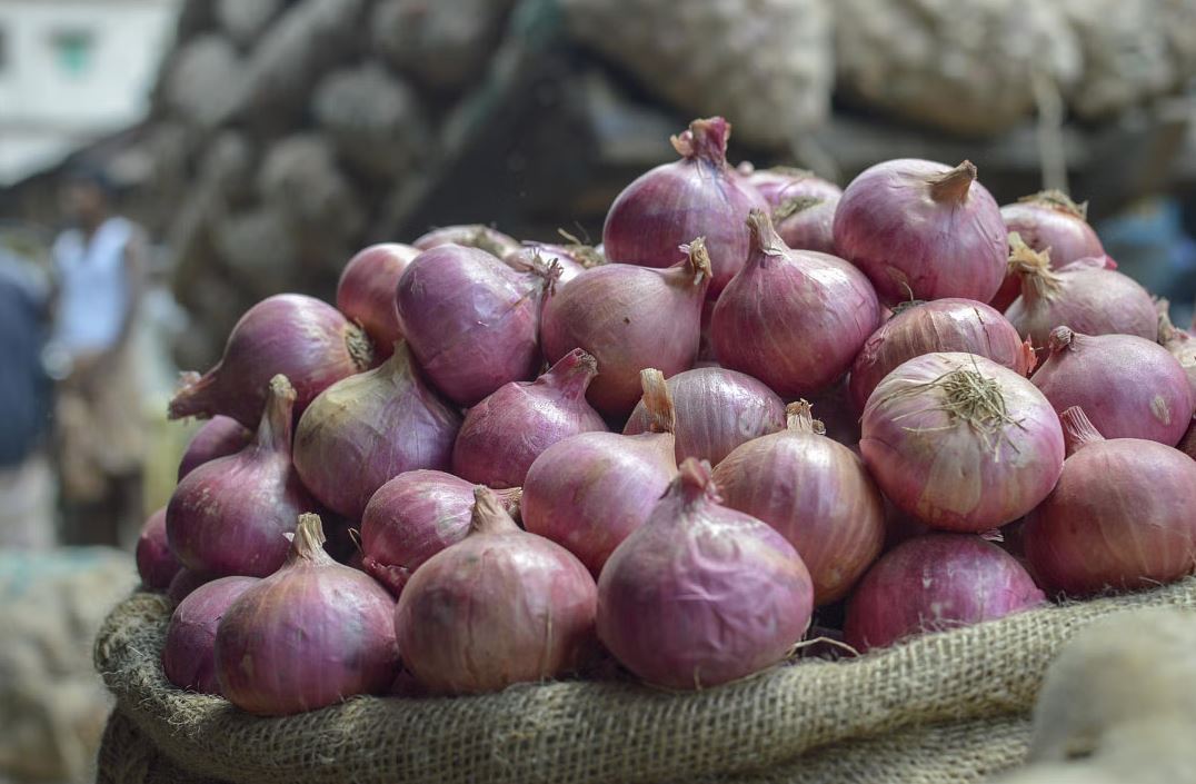 ঢাকায় পেঁয়াজের দাম কেজিতে ছাড়াল ২০০ টাকা