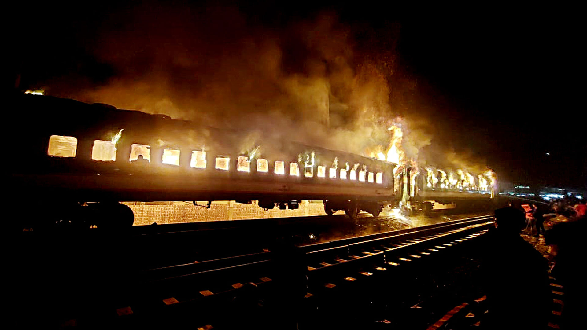 বনপোড়া হরিণীর দেশে এমন দৃশ্য দেখতে টিকিট লাগে না