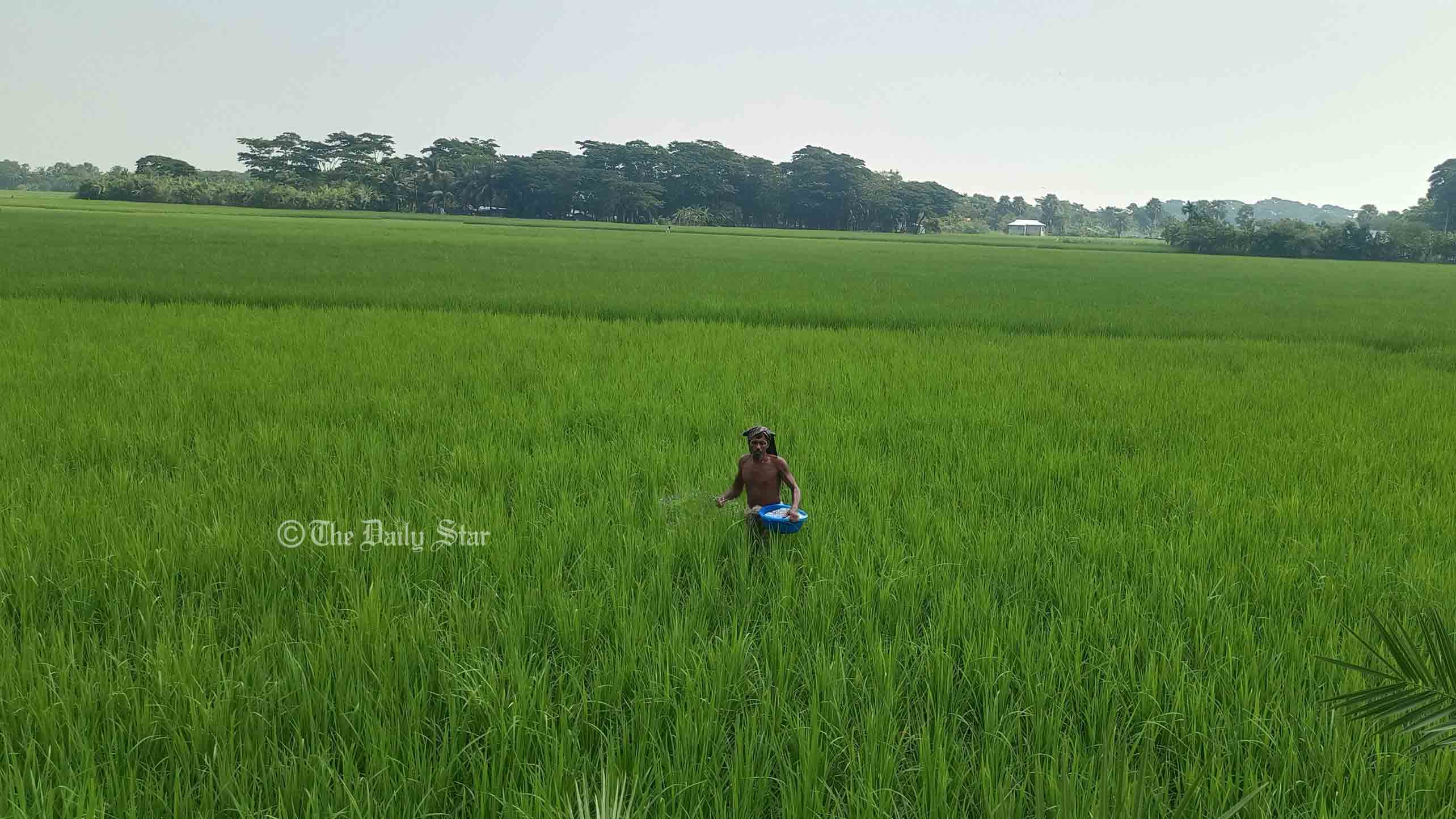 পটুয়াখালীতে ১০ বছরে কৃষিকাজ ছেড়েছে ৪০ হাজার পরিবার