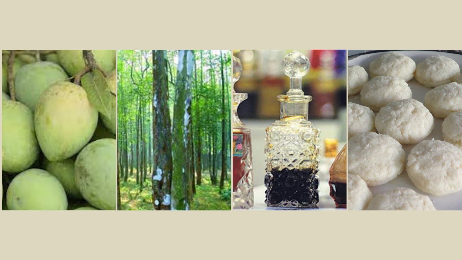 হাঁড়িভাঙ্গা আম ও মুক্তাগাছার মণ্ডাসহ ৪ পণ্যের জিআই জার্নাল প্রকাশ