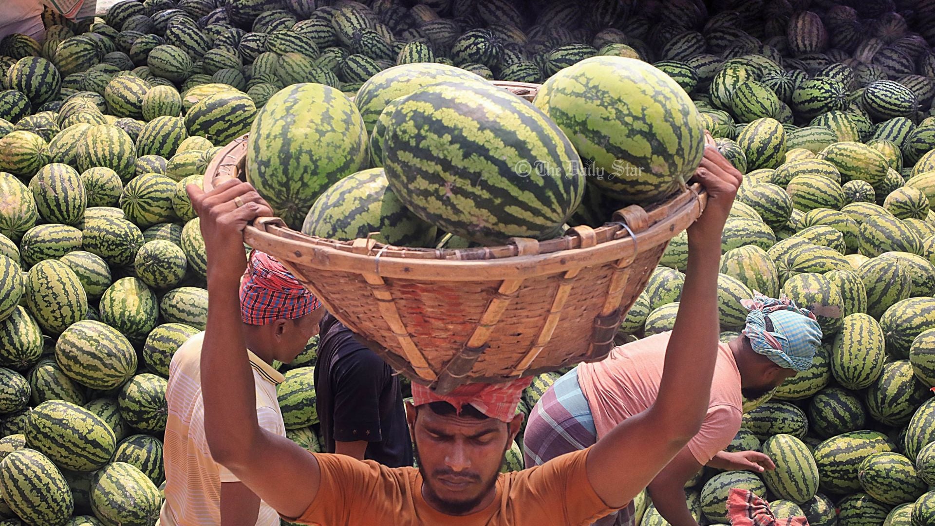 কেজি দরে তরমুজ বিক্রি কমছে যে কারণে