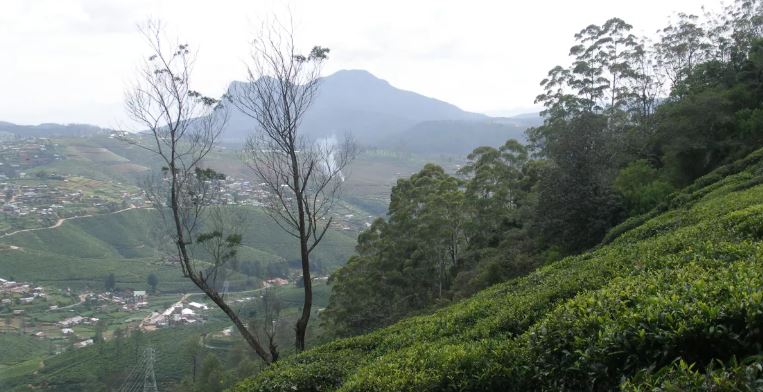 শ্রীলঙ্কার ভিসা কীভাবে করবেন, ঘুরবেন কোথায়, খরচ কত