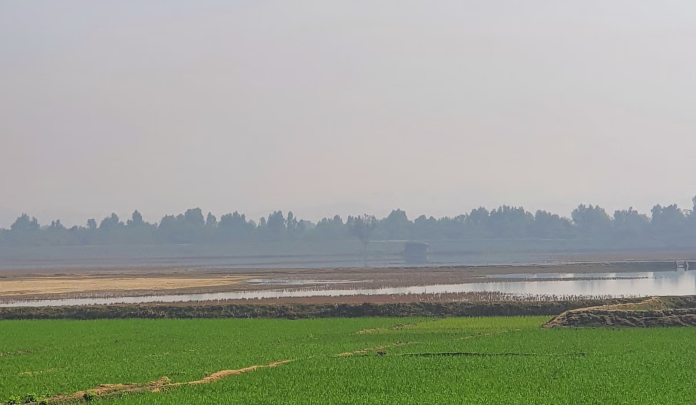 মিয়ানমার থেকে আরও ৪৬ বিজিপি সদস্যের বাংলাদেশে আশ্রয়