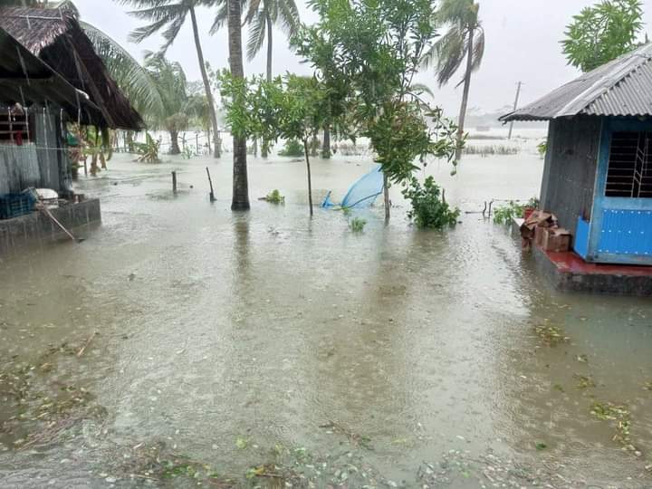 বাগেরহাটে ভেসে গেছে ৩৫ হাজার মাছের ঘের