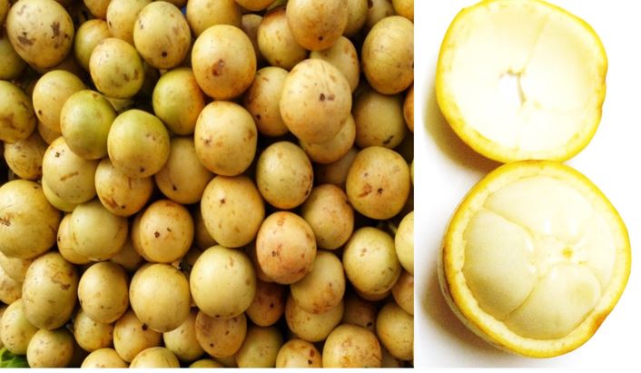 লটকনের এই উপকারিতাগুলো জানেন কি