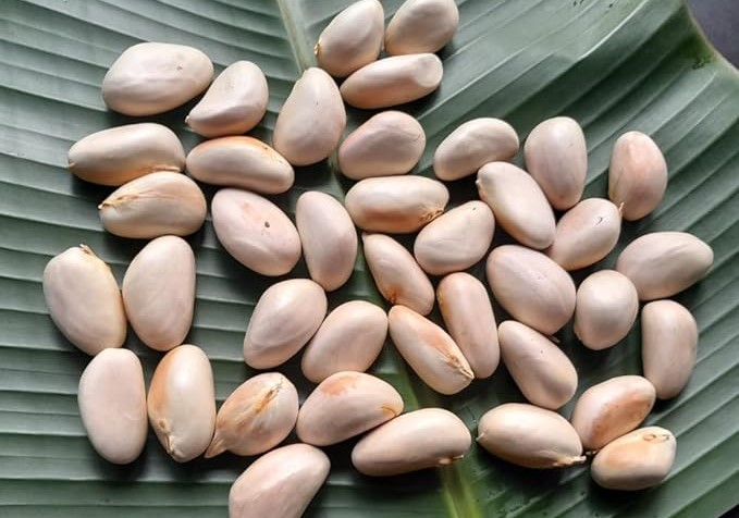 কাঁঠালের বিচি খেতে ভুলবেন না যে কারণে