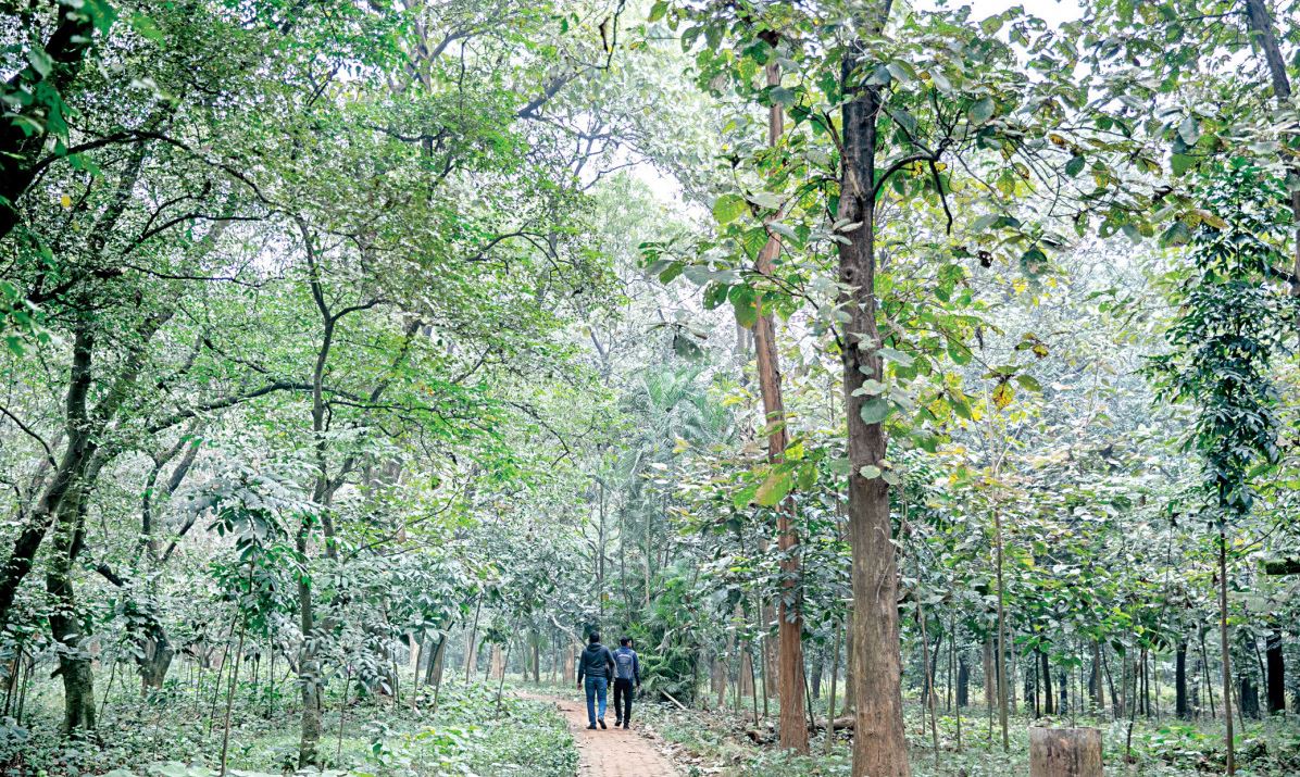 মিরপুরের এই জায়গাগুলো ঘুরে দেখেছেন কি