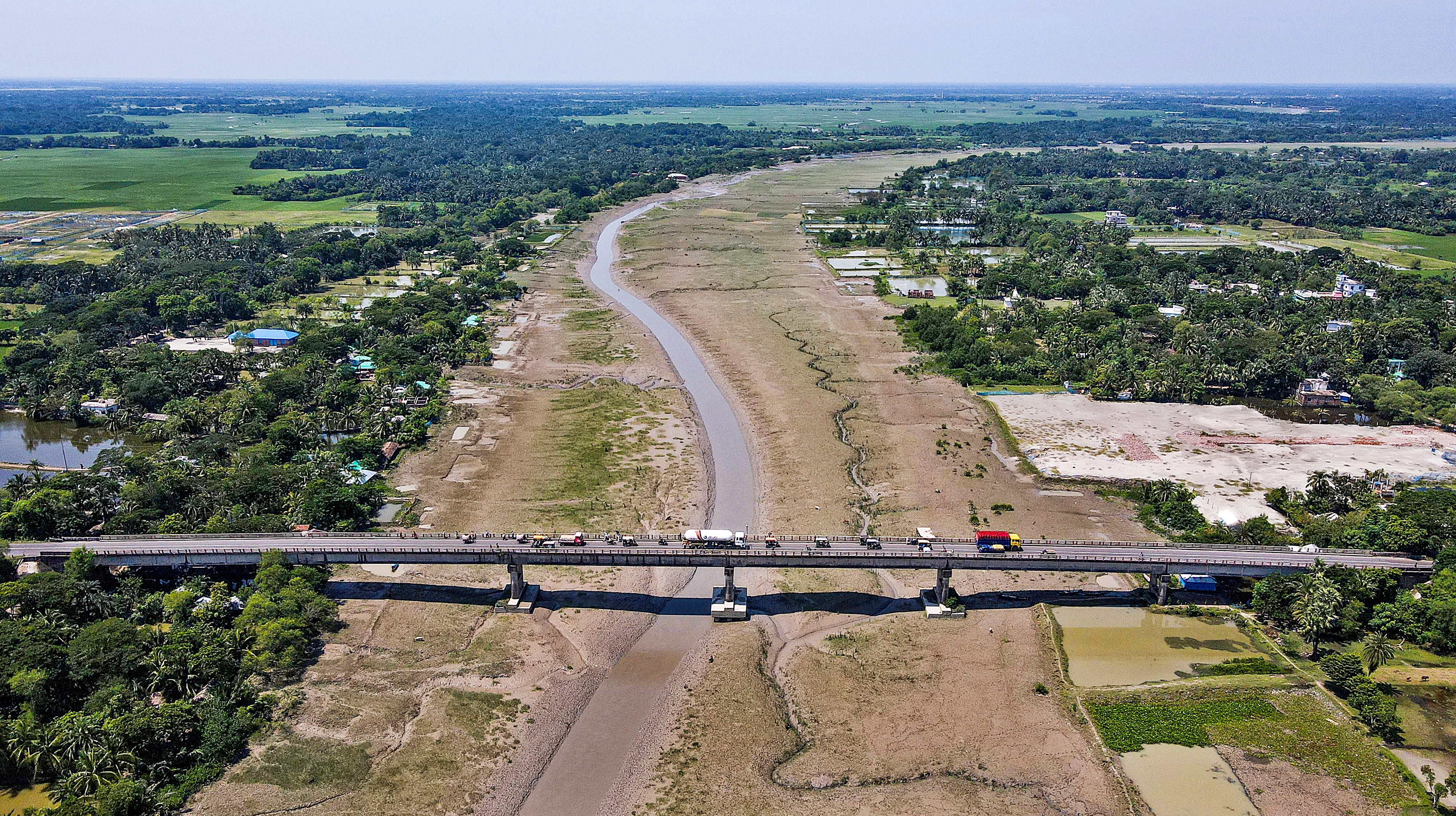 জীবনদায়ী শোলমারীর প্রাণ বাঁচানোই দায়