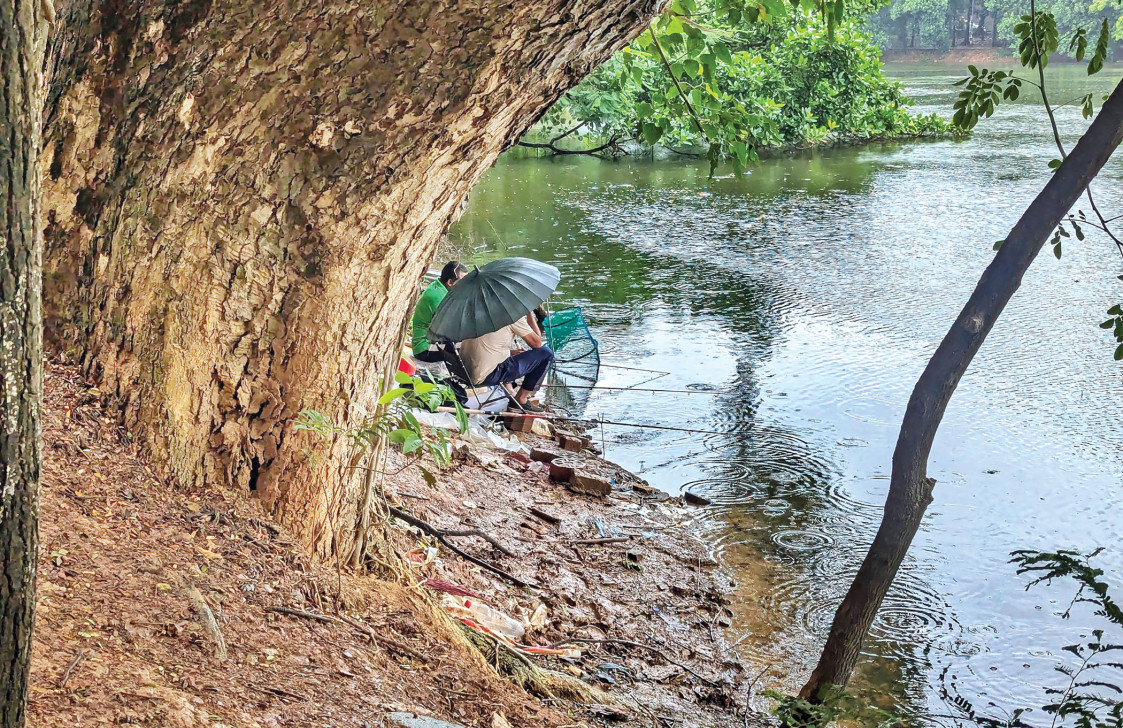 খাওয়া ছাড়াও ধানমন্ডিতে সময় কাটানোর আরও যত উপায়