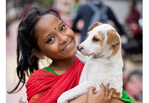 শীতকালে পথের কুকুর-বিড়ালকে উষ্ণ রাখার উপায়