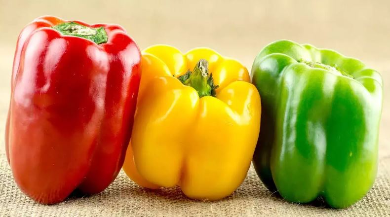 খাদ্যতালিকায় ক্যাপসিকাম রাখবেন যে কারণে