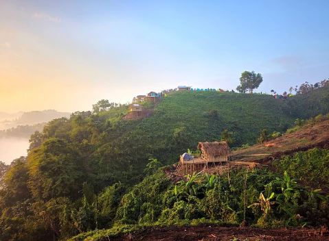 বান্দরবানের মিরিঞ্জা ভ্যালি: কীভাবে যাবেন, কী দেখবেন