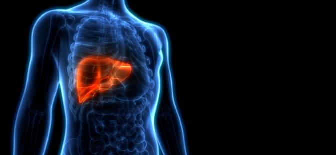 লিভার সিরোসিসের কারণ কী, লক্ষণ ও চিকিৎসা &nbsp;