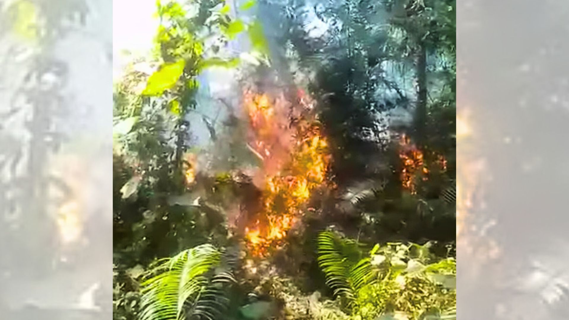 সিংড়া শালবনে অগ্নিকাণ্ড, শতাধিক গাছ পুড়ে ছাই