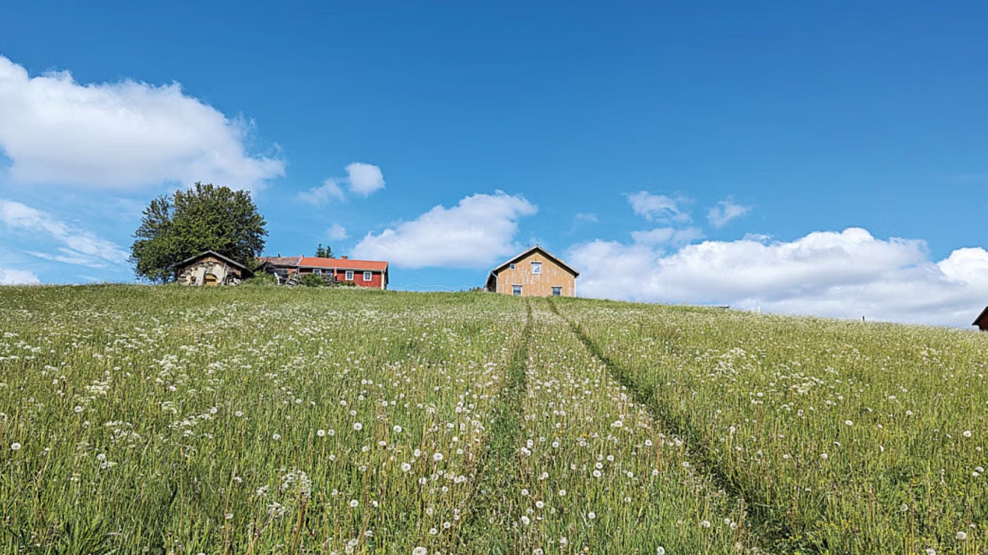 নর্ডিক অঞ্চলে কাটানো কিছু গ্রীষ্মকালীন দুপুর ও সন্ধ্যার গল্প