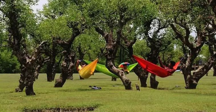 ঘুরে আসুন বরগুনার নিদ্রা সৈকত