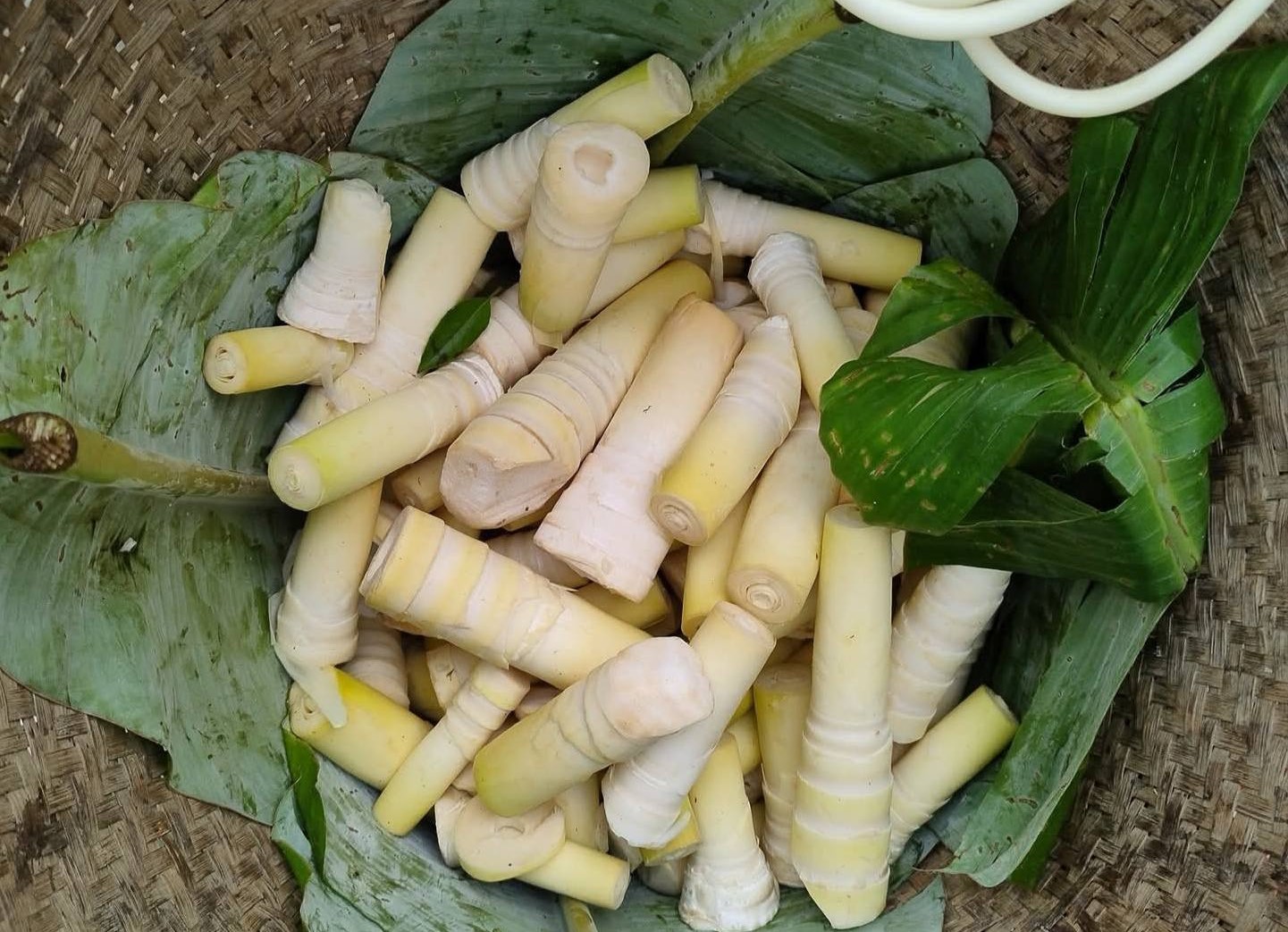 সুস্বাদু পাহাড়ি খাবার বাঁশ কোড়ল