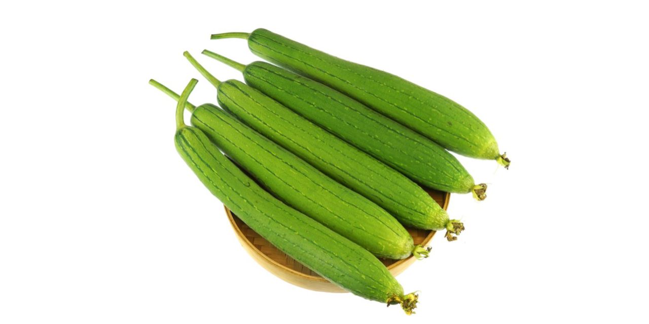 ধুন্দল কেন খাদ্যতালিকায় রাখবেন