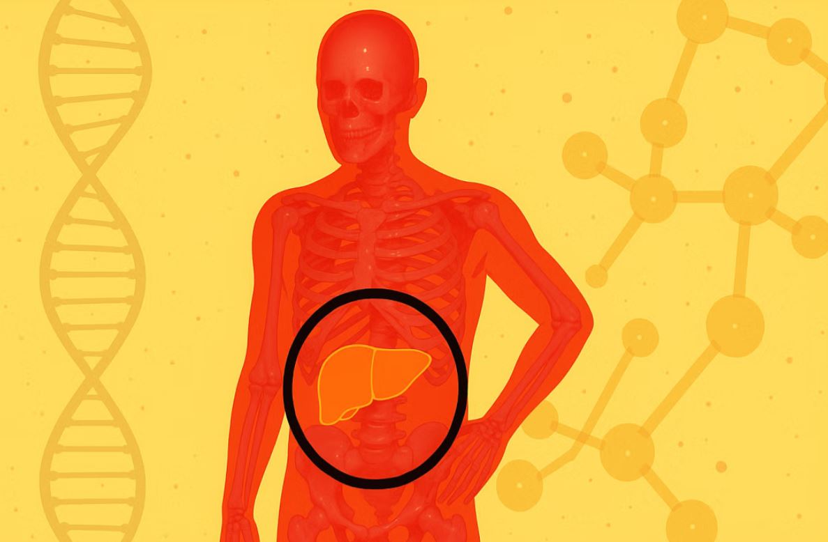 প্রাকৃতিকভাবে ফ্যাটি লিভার নিরাময়ে পুষ্টিবিদের টিপস