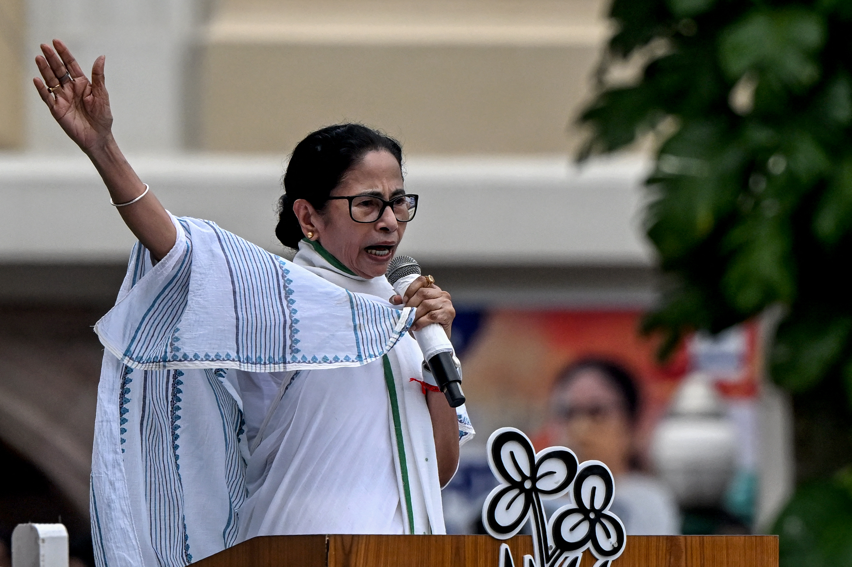 মমতার ‘ভাষা আন্দোলন’ শুধুই কি রাজনৈতিক