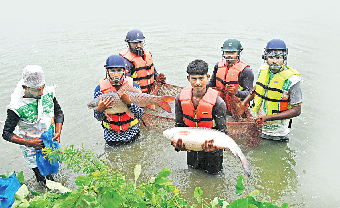 মাছ চাষে নীরব বিপ্লব, উদ্বেগ অ্যান্টিবায়োটিক-রাসায়নিকের অপব্যবহার