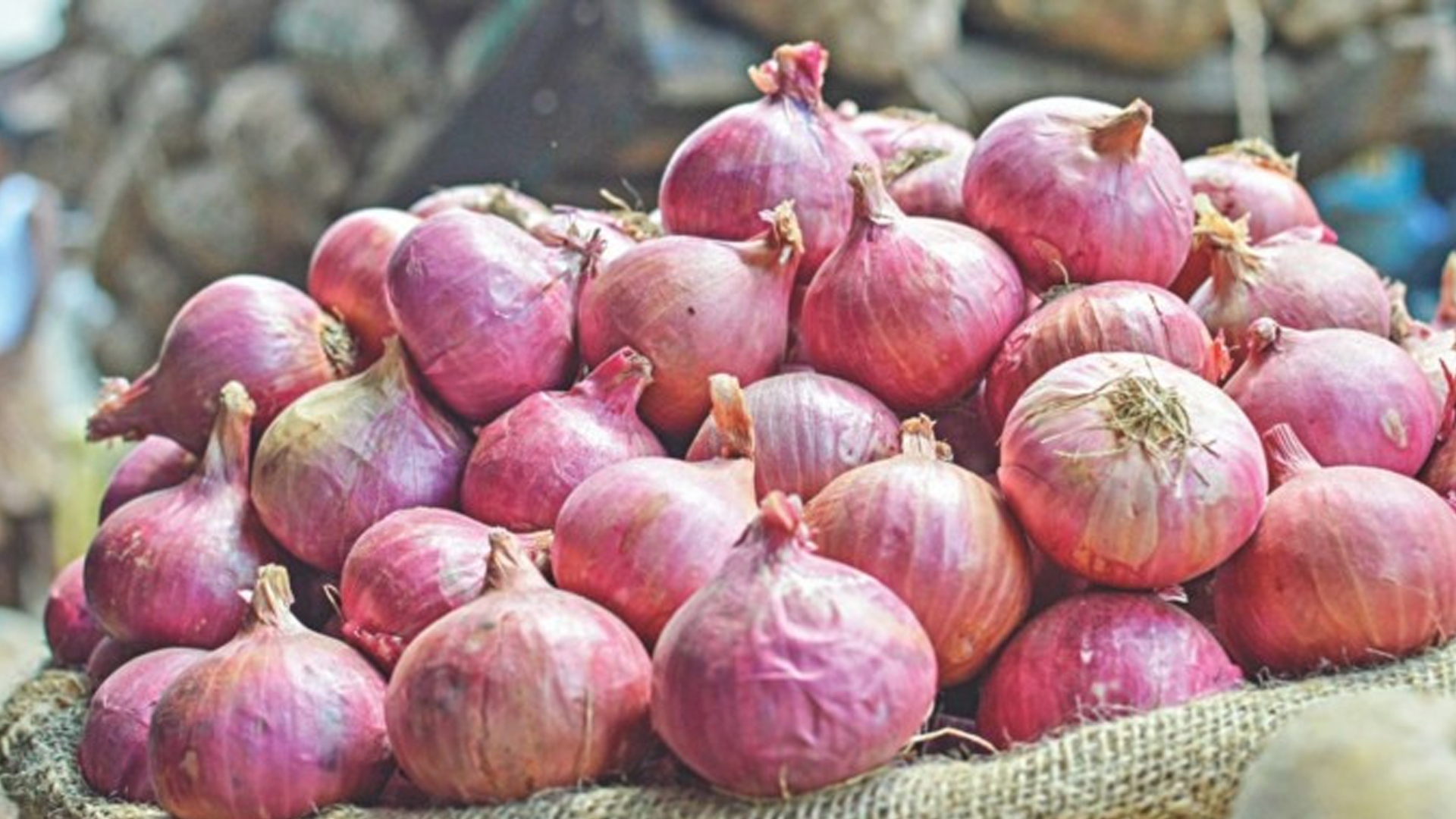 ২ দিনের ব্যবধানে পেঁয়াজের দাম বাড়ল ৪০ টাকা