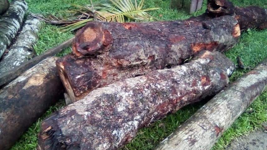 Moulavibazar photo.jpg