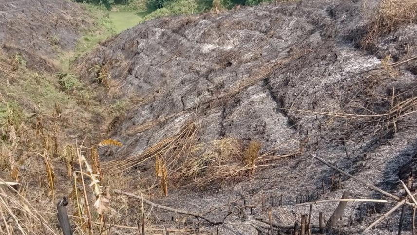 bandarban_jhum_garden_fire_photo_collected.jpg