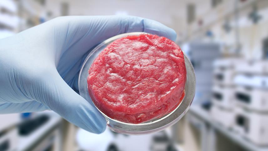 in-article-labgrownmeat03.jpg