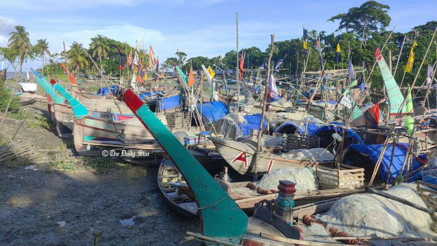 ভোলা ইলিশ.jpg