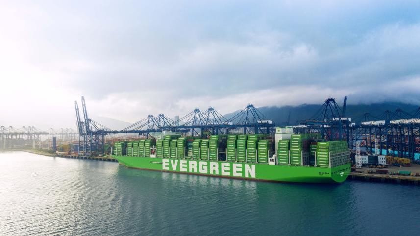 এভারগ্রিন