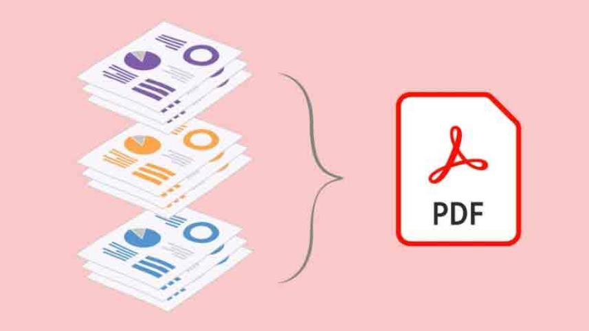 পিডিএফ ফাইল.jpg