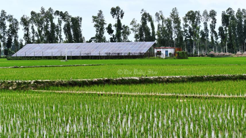 সোলার পাম্প.jpg