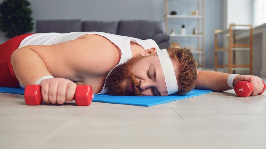 আলসেমি উদযাপনের দিন আজ