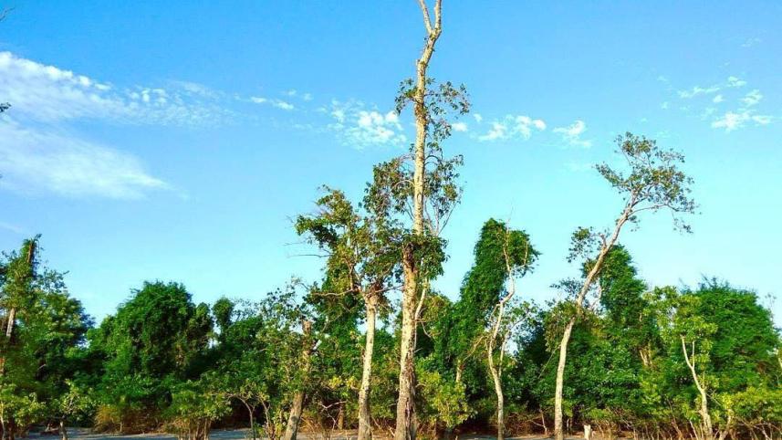 কুয়াকাটা
