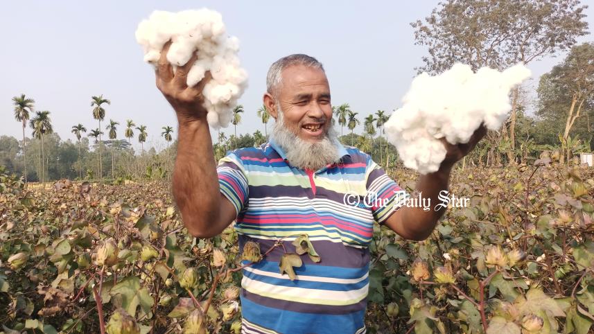 cotton-1.jpg