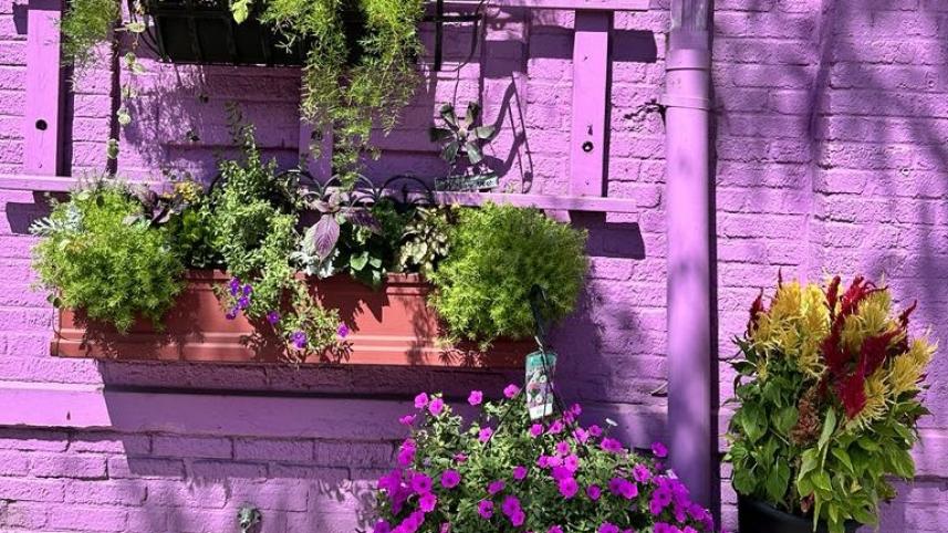 ওহাইওর সিনসিনাটি 