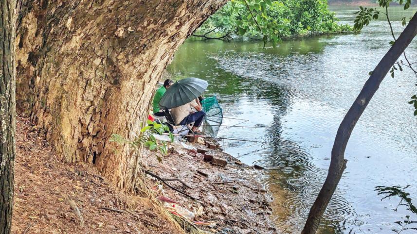 ধানমন্ডি 